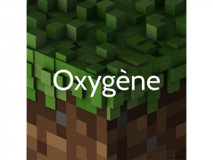 Oxygene — Minecraft soundtrack (from 1.0 to 1.21) option 28