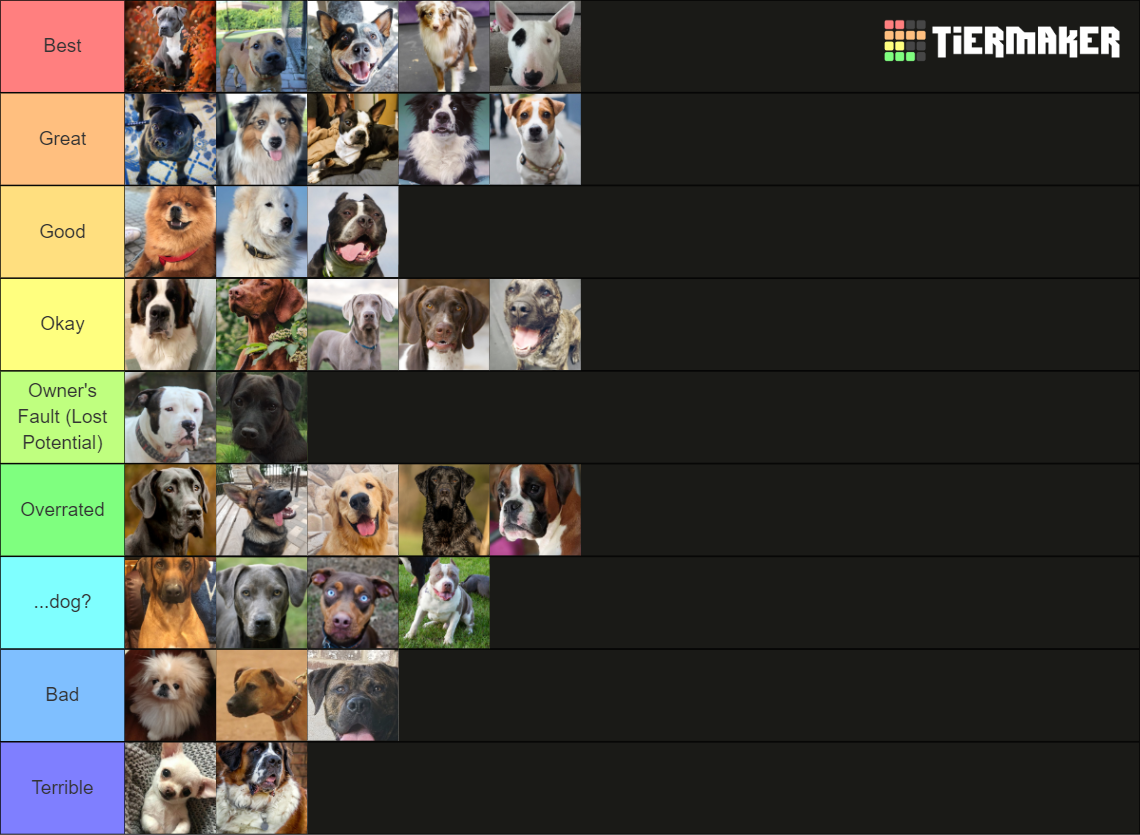Rank Dog Dog breeds ranked Tier List (Community Rankings) - TierMaker