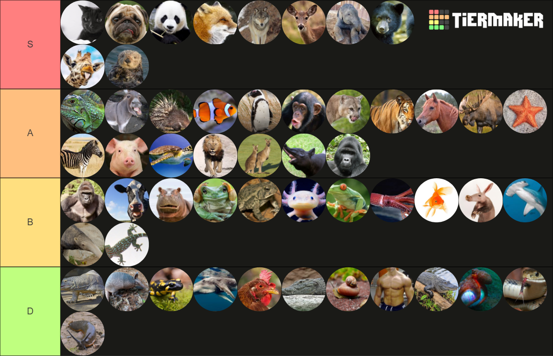 Animals Tier List (Community Rankings) - TierMaker