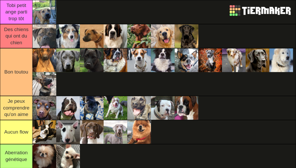 Dog breeds ranked Tier List Rankings) TierMaker
