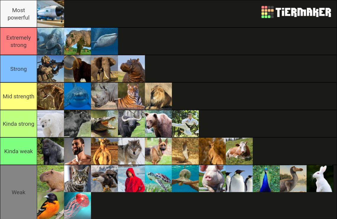 Animal Ranking Tier List Animals power Tier List (Community Rankings) - TierMaker