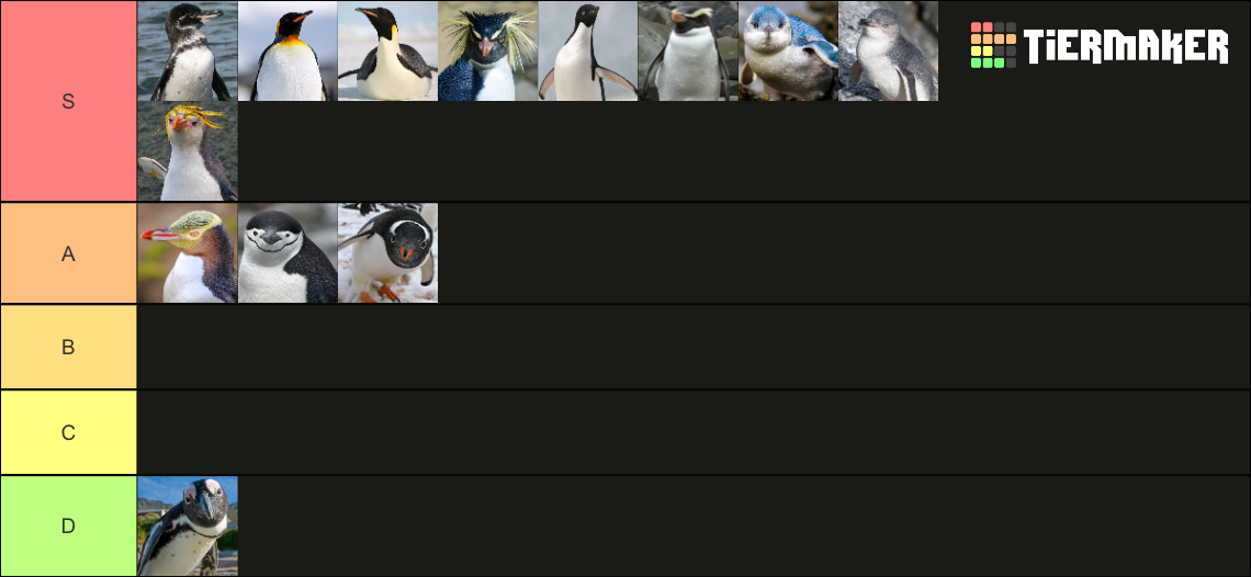 Penguin Species Tier List Rankings) TierMaker