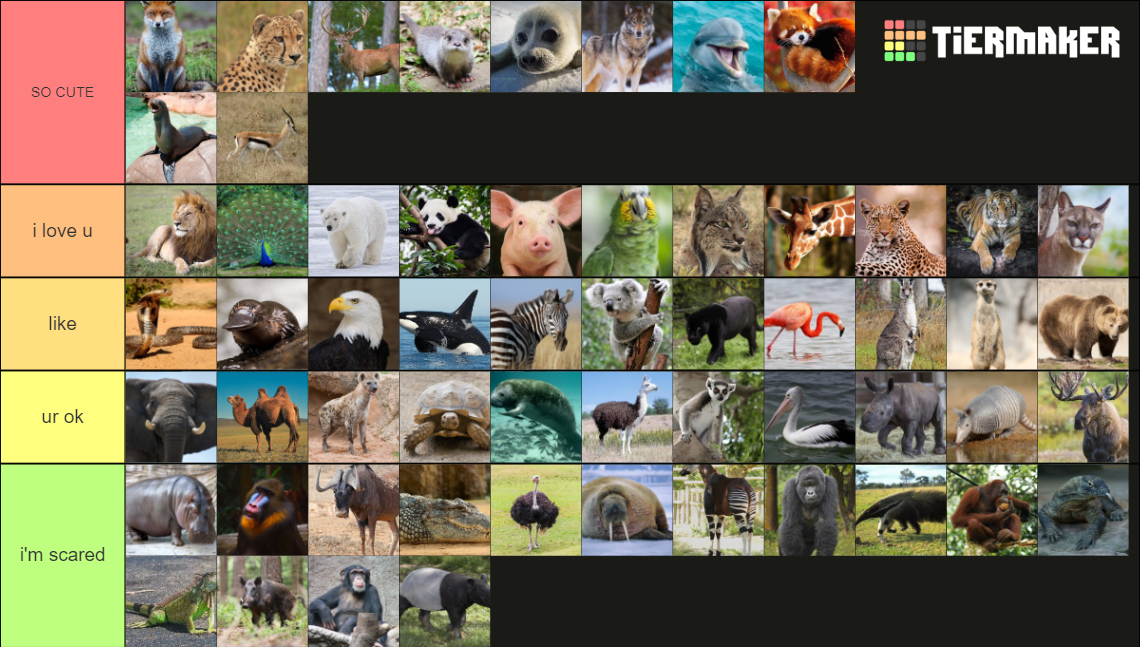 Zoo Animals Tier List (Community Rankings) - TierMaker