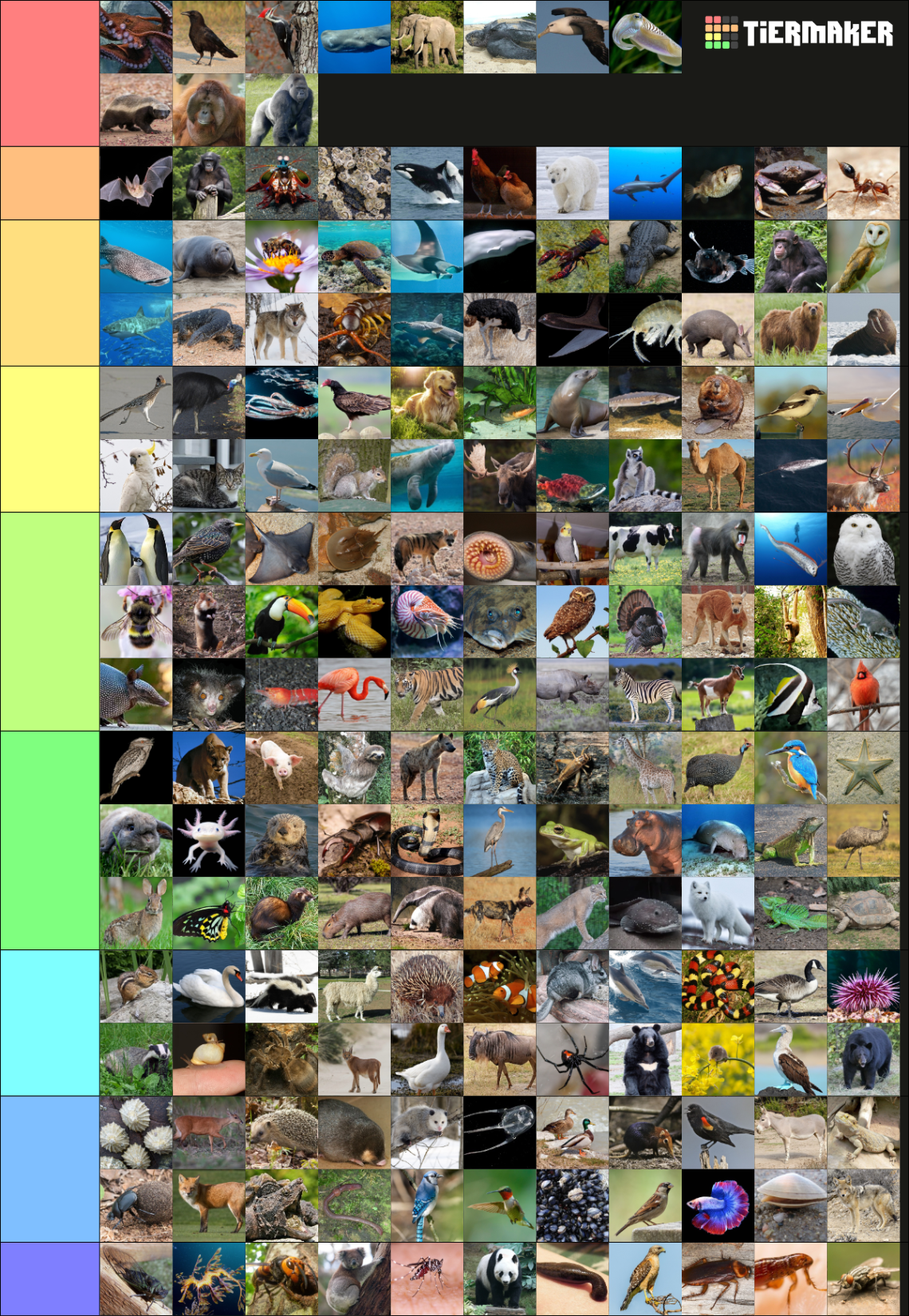 Diversity of Animalia (1,300+ Animals!) Tier List (Community Rankings ...