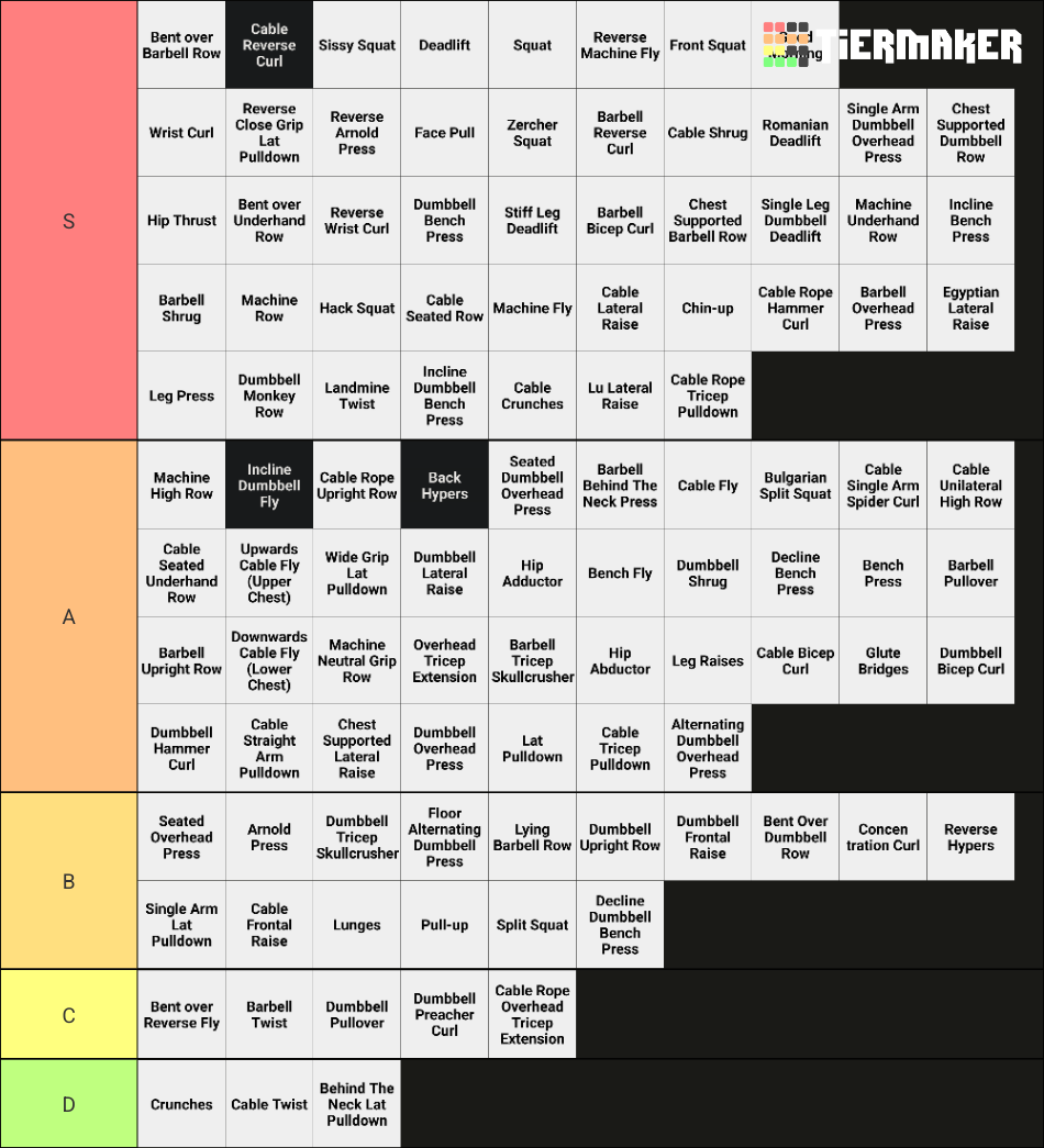 Gym Tier List Rankings) TierMaker