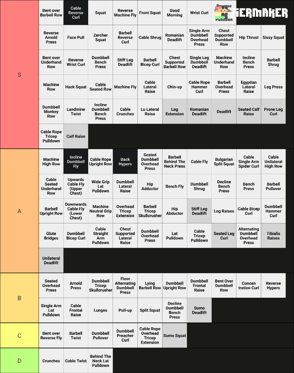 Gym Tier List (Community Rankings) - TierMaker