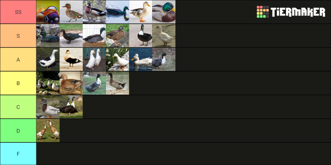 Duck Tier List Rankings) TierMaker