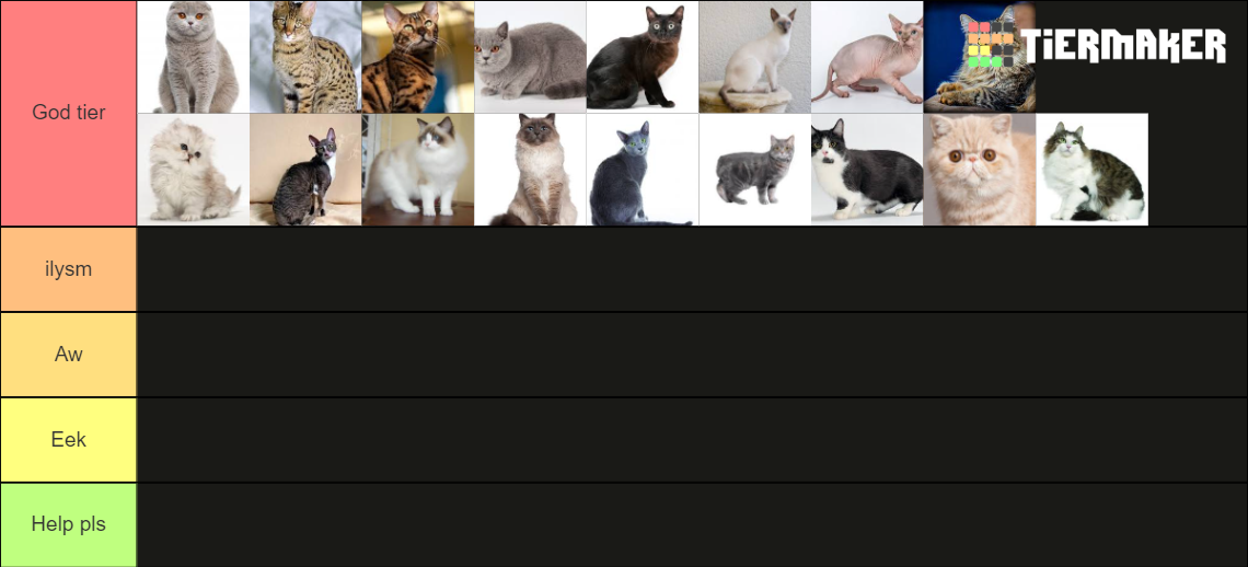 Cat breeds Tier List Rankings) TierMaker