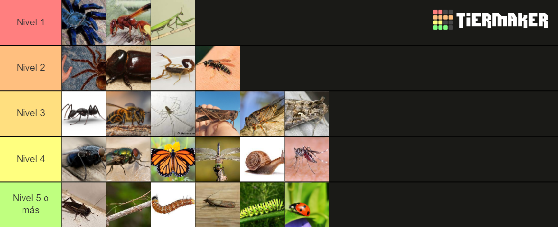 Niveles de insectos Tier List (Community Rankings) - TierMaker