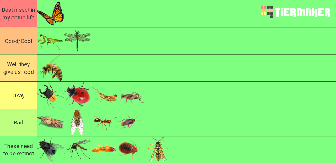 Insects Tier List (Community Rankings) - TierMaker