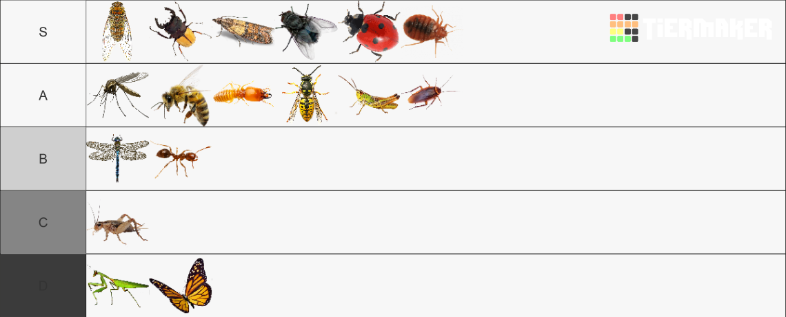 Insects Tier List (Community Rankings) - TierMaker