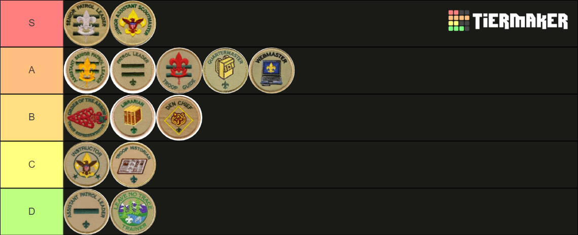 positions of responsibility bsa
