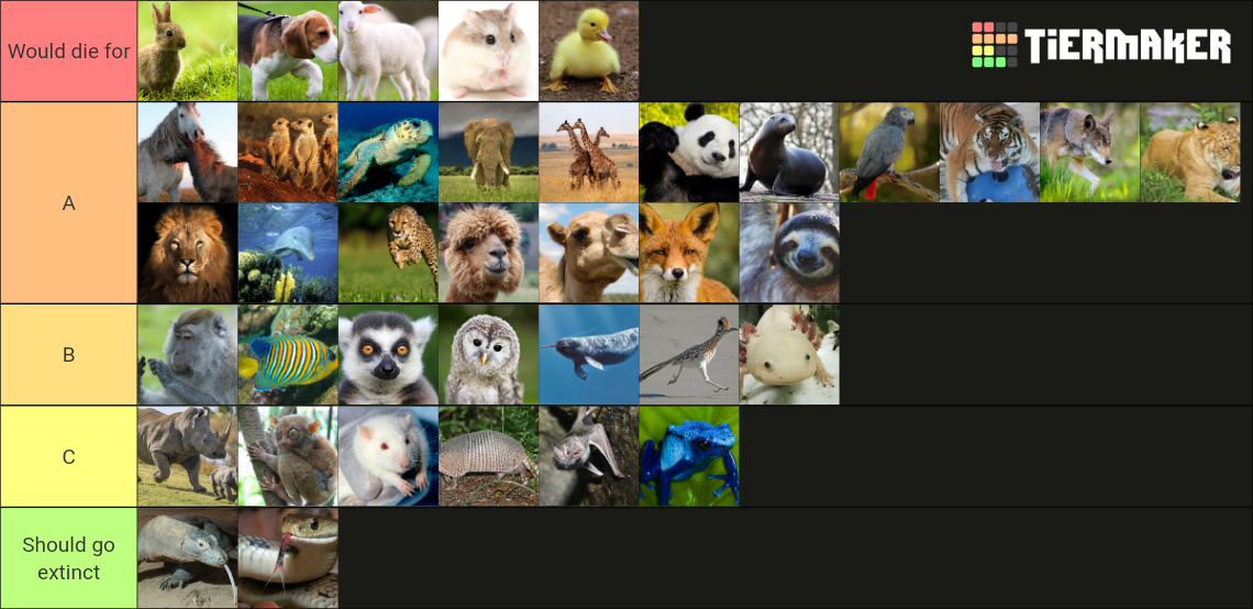 Animals Tier List (Community Rankings) - TierMaker