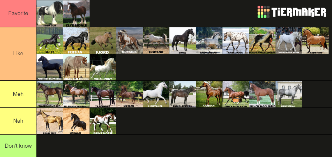 Horse breeds Tier List Rankings) TierMaker