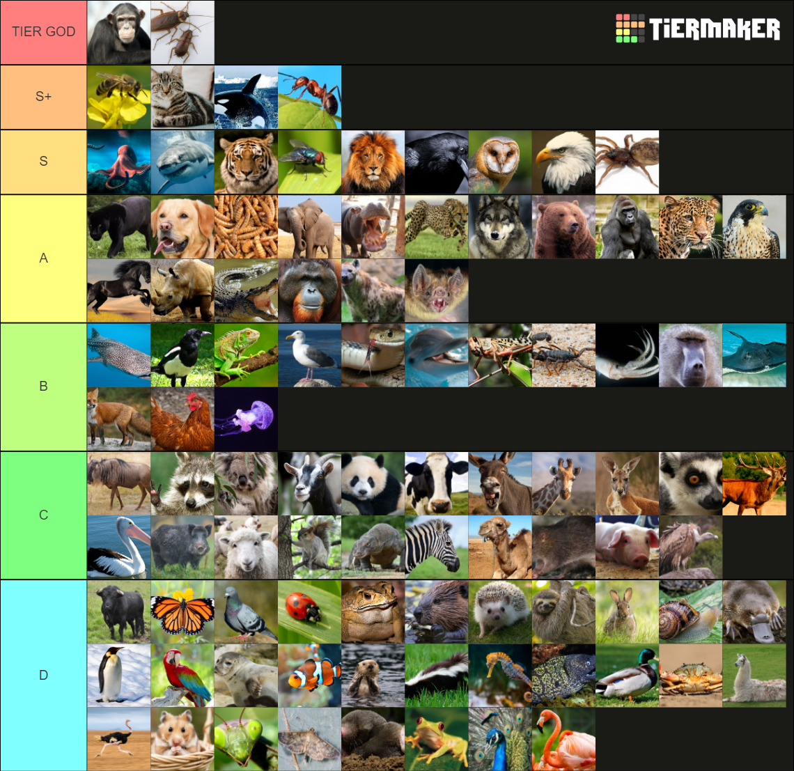 TIER LIST 100 ANIMALES SUPER DEFINITIVO Tier List (Community Rankings ...