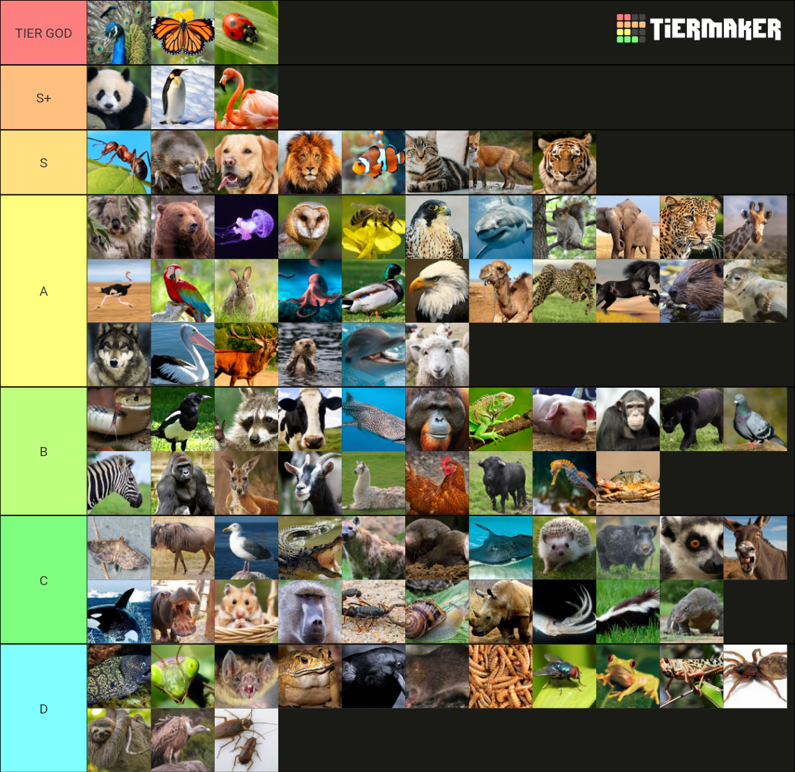 TIER LIST 100 ANIMALES SUPER DEFINITIVO Tier List (Community Rankings ...