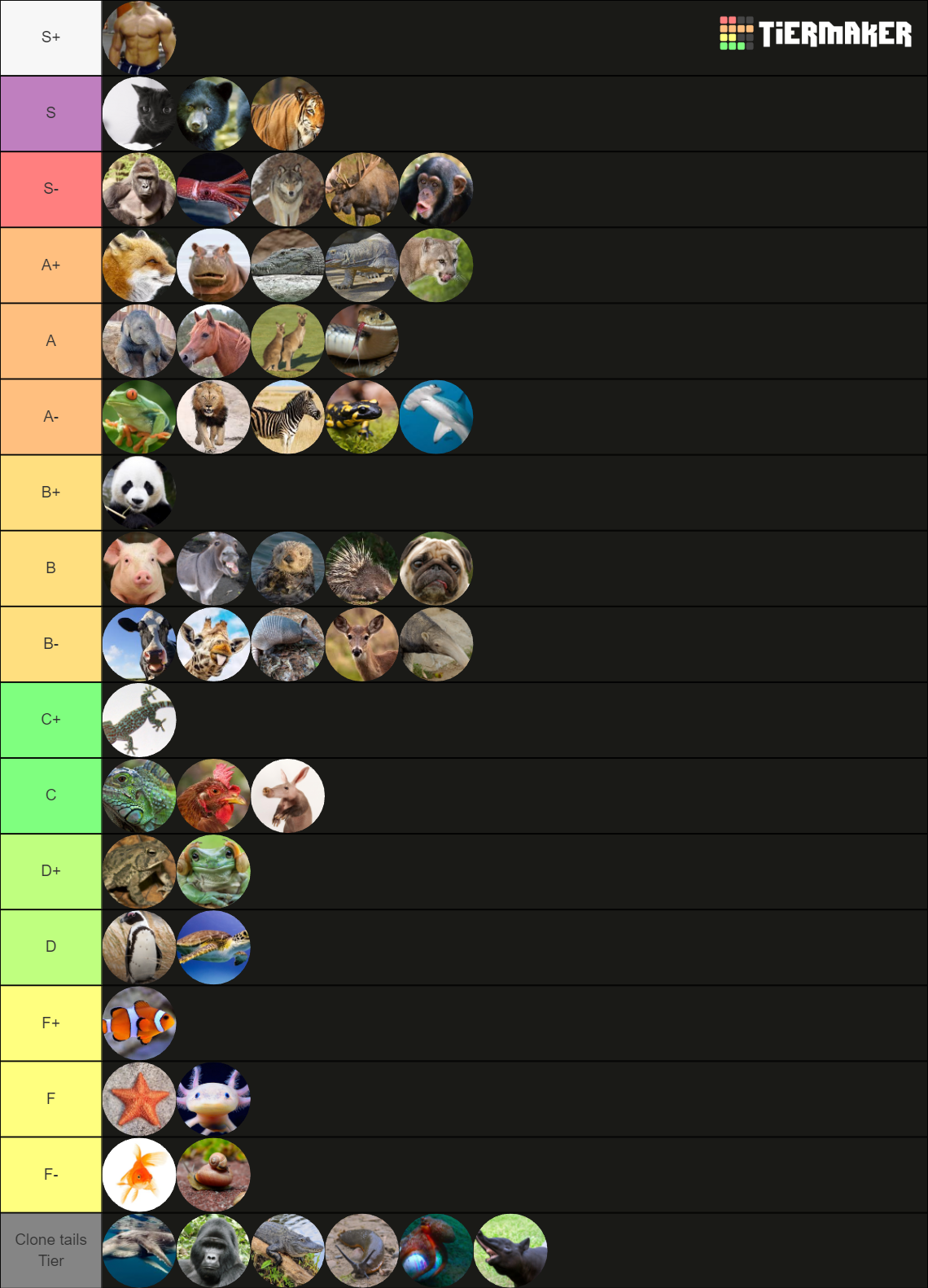 Animals Tier List (Community Rankings) - TierMaker