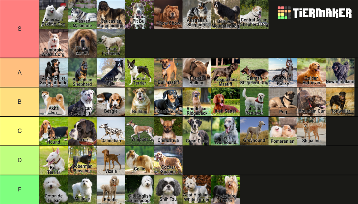 Pure Dog Breeds (Labeled) Tier List (Community Rankings) - TierMaker