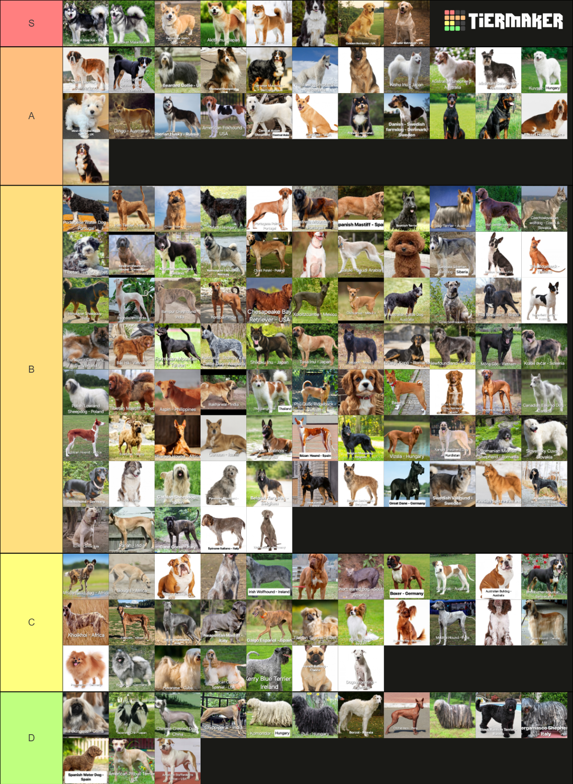 Dog breeds Tier List (Community Rankings) - TierMaker