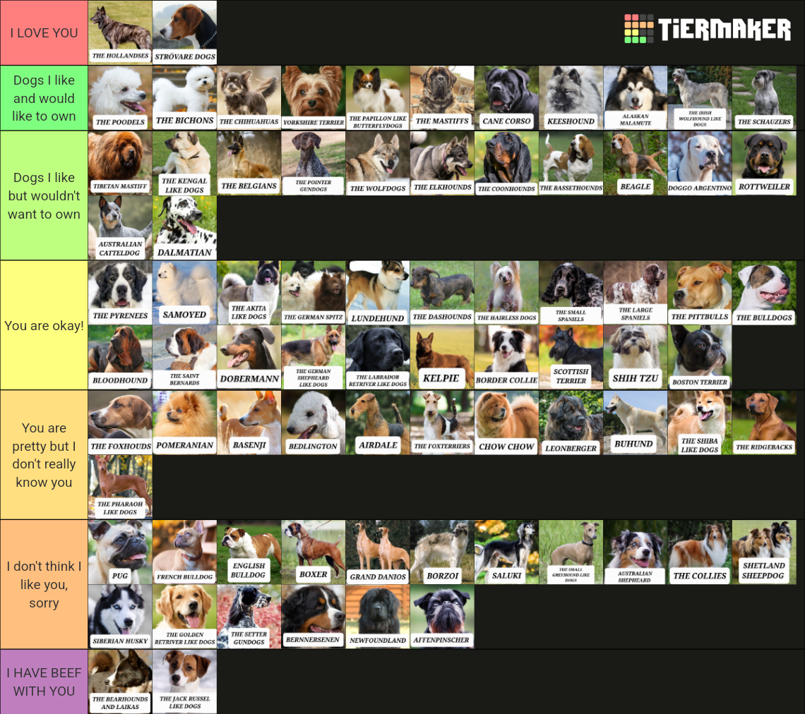 The most well-known dogs (with names) Tier List (Community Rankings ...