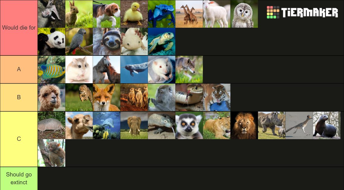 Animals Tier List (Community Rankings) - TierMaker