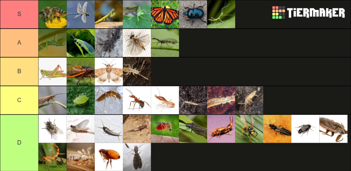 Insect Tierlist Tier List (Community Rankings) - TierMaker