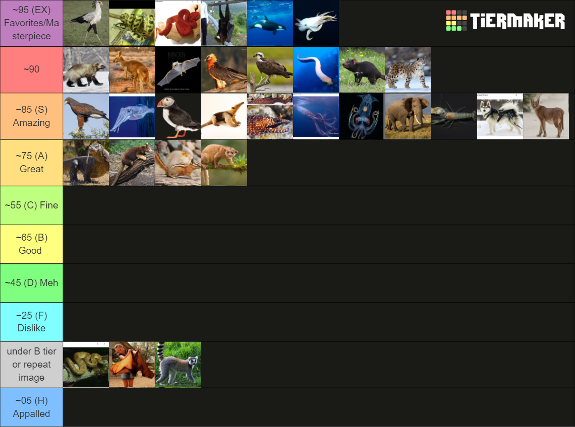 Some Cool Animals Tier List (Community Rankings) - TierMaker