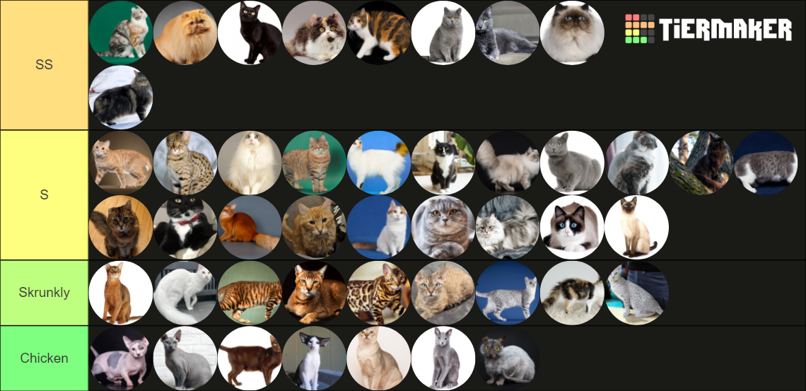 The Ultimate Cat Breed Tier List Rankings) TierMaker