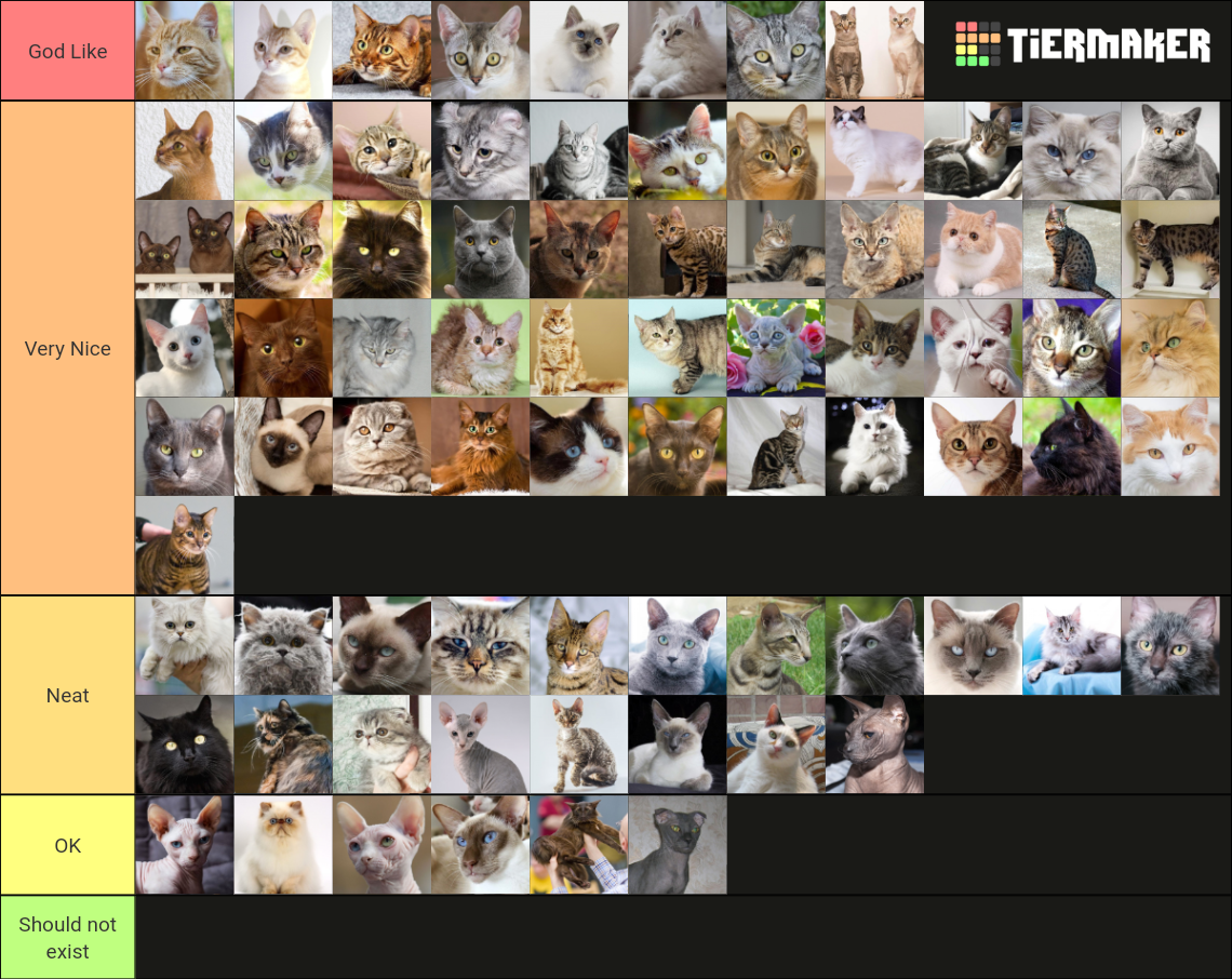 Cat breeds Tier List Rankings) TierMaker