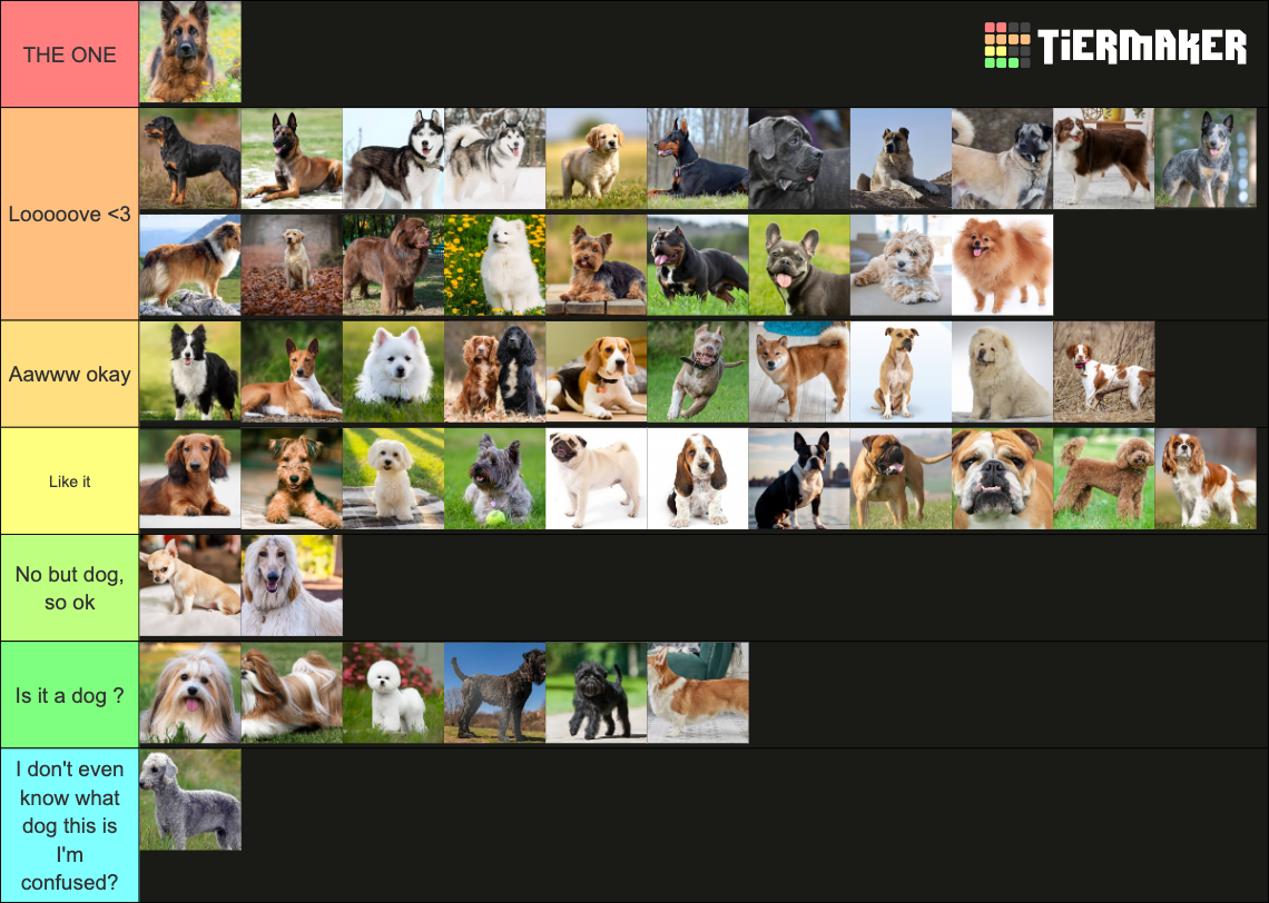Dog breeds Tier List (Community Rankings) - TierMaker