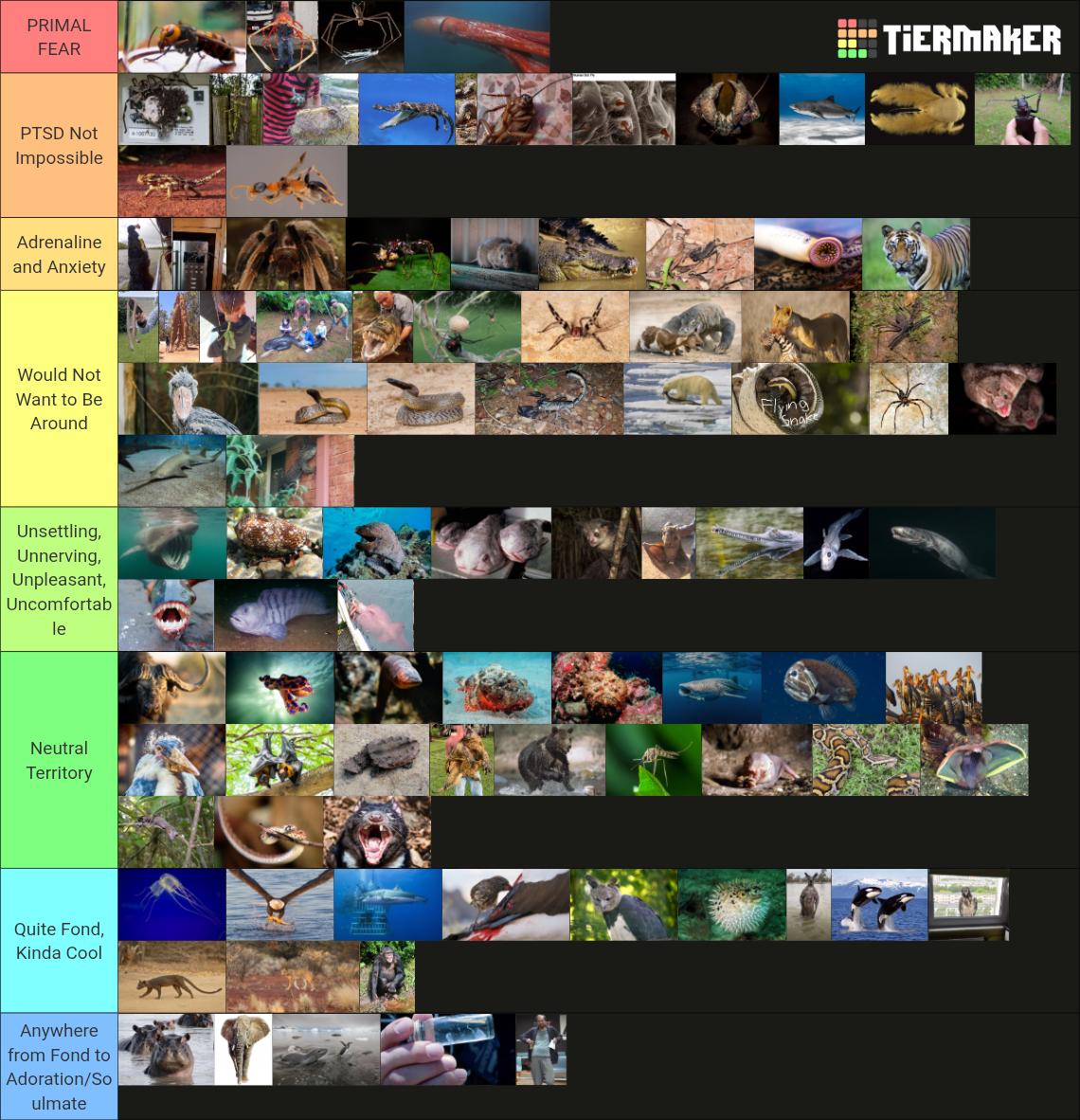 Animals I Am Most Absolutely F*cking Terrified Of Tier List (Community ...