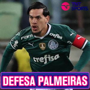 TNT Sports Brasil - PALMEIRAS NO TOPO! 🐷🟢⚪ Se liga nesse ranking dos  melhores clubes do Brasil! Seu time tá nessa lista, torcedor? Crédito: Opta  Power Ranking