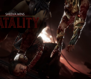 MK11 Fatalities