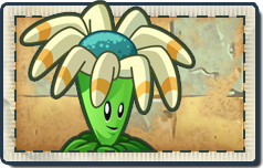 Endurian, Plants vs. Zombies: Reflourished Wiki