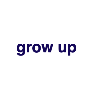 Bcpng — stray kids discography (2018-25) option 12
