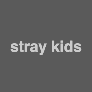 Zzzzz 1757487459imagee 6 — stray kids discography (2018-25) option 171