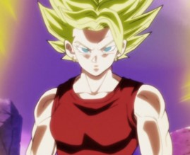 Form34 — Comprehensive Saiyan Form Tier List option 34