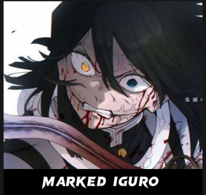 Zzzzz 16866176838e73bdf1 669d 44c4 Be62 D6568e797bd8 — Demon Slayer option 56