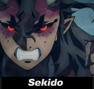 Zzzzz 168661825881b921f1 836b 4f5a 91a3 1724a6e2391a — Demon Slayer option 73
