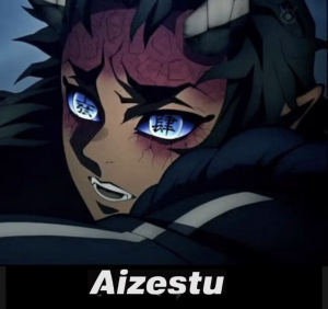 Zzzzz 1686618258de758b4a 5607 49e3 A69f 6f4cd237f89f — Demon Slayer option 75