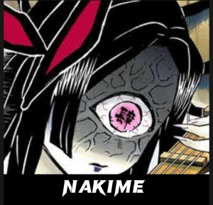 Zzzzz 1686618373012530ce D5d0 4be5 943c 9c6cff3431ff — Demon Slayer option 79