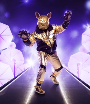 S5bulldogpng — The Masked Singer US All Contestant option 64