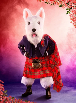 S7mcterrierpng — The Masked Singer US All Contestant option 100