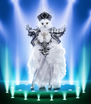 Zzzzz 1690315023s9 Nightowl — The Masked Singer US All Contestant option 144