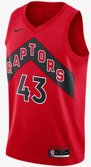 Raptors home best sale and away jerseys