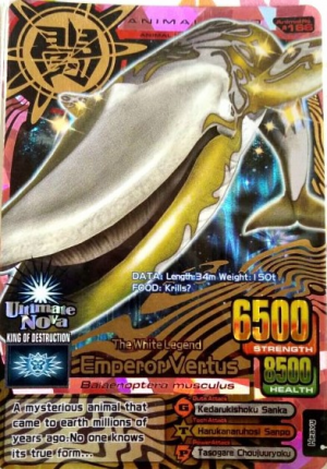 animal kaiser rare cards Dark Magician the Magician of Black Magic [INFO-EN006] Ultra Rare – Galaxy  Games LLC main image 0
