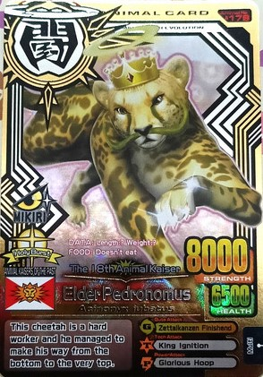 animal kaiser rare cards Yu-Gi-Oh! - Premium Gold main image 0