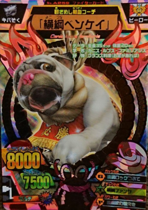 one piece trading cards first edition One Piece TCG English 1st Anniversary Set (English Exclusive) – Card Piece