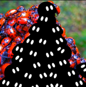 Zzzzz 1691874102screenshot20230812220115 — Lots Of Objects | Contestant Ranking option 348