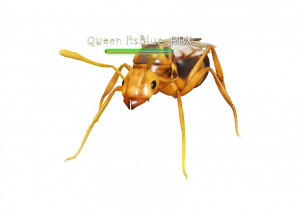 Random Ant Random (OUTDATED) Ant Life V2 Picker – SpinWheelMaker